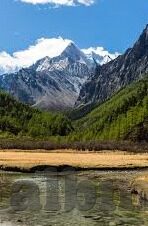 电影一区二区三区-电影一区二区三区，文化交汇的多元视角