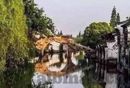 国产精品久久久久免费av麻豆-形成背景与现状