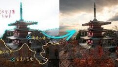 糖心app下载色版-保护网络生态，理性看待成人内容平台的下载现象